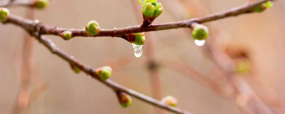 女生白天睡觉梦见下雨是什么