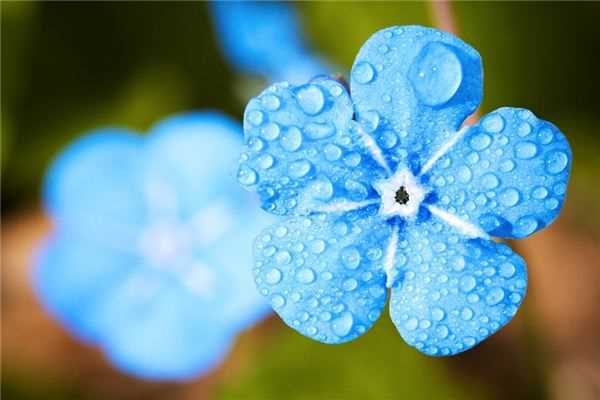 梦见雨停了