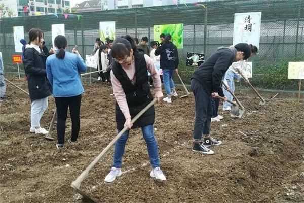 梦见挖地 松土