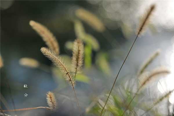 秋分有什么讲究 秋分有什么忌讳吗