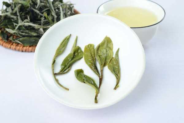 白牡丹茶的冲泡方法 白牡丹茶泡出来是什么样子