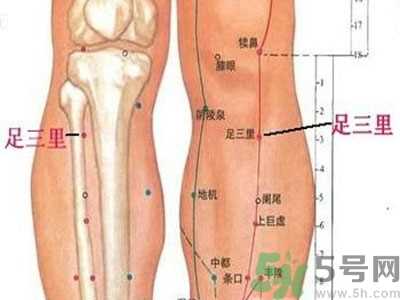 艾灸足三里有什么好处？艾灸足三里的功效