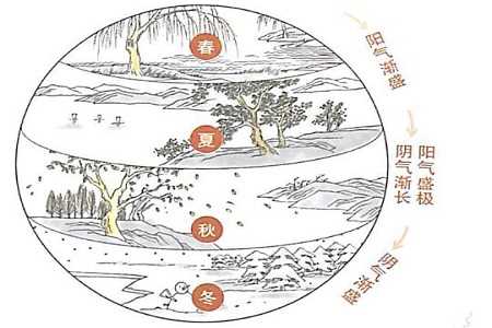 四季养生之道春夏秋冬之法则知识