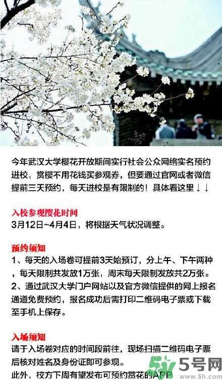 武大樱花什么时候开放?武大樱花将于3月10日盛放