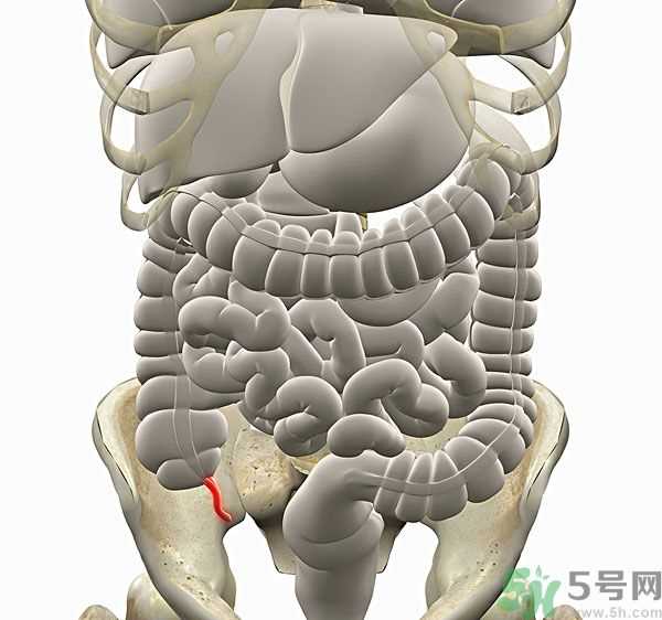 脂肪肝能喝酒吗？养肝不能做的事有哪些