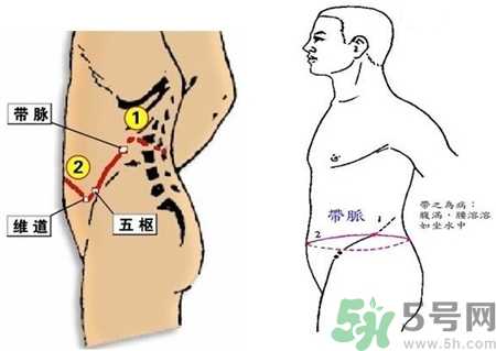 带脉不通对人体造成的影响 