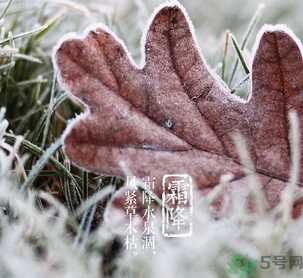 霜降是什么季节？霜降是秋天还