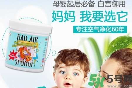 美国bad air sponge空气净化剂多少钱？