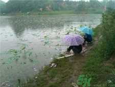 十月下雨能钓鱼吗?十月下雨天鲢鱼好钓吗?