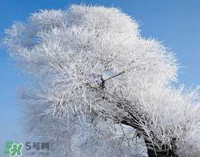 2017年第一场雪什么时候？2017年什么时候下雪？