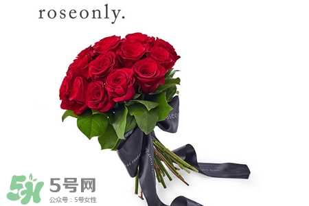 roseonly鲜花多少钱？roseonly永生花多少钱？