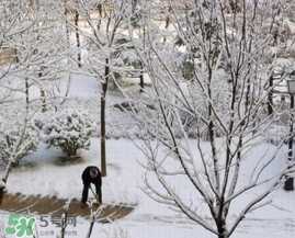 春天下雪意味着什么？春天为什