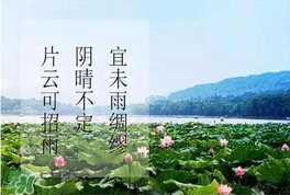 夏至是入伏吗？夏至后多久入伏？