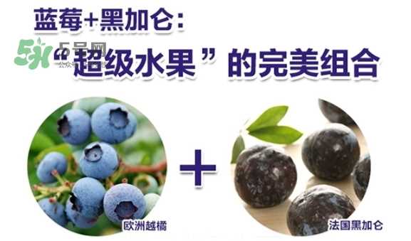 fancl蓝莓护眼怎么样？fancl蓝莓护眼和pola护眼哪个好