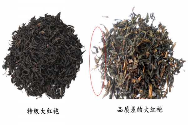 大红袍茶叶形状图片 真假对比图