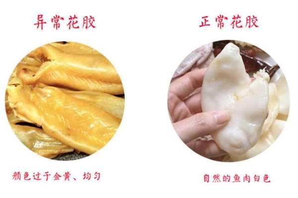 花胶泡好什么样 乳白的鱼肉