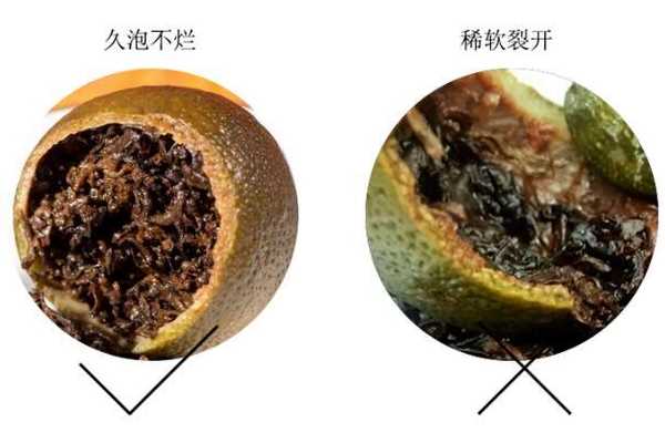 小青柑普洱茶怎么挑选 挑出上好小青柑