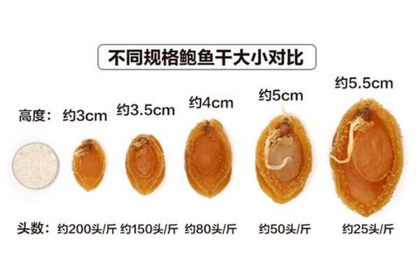 干鲍鱼头数越多越好吗 头数越多价格越便宜