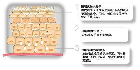 透明质酸是什么 透明质酸的护肤作用 