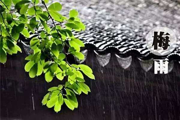 梅雨季节2021什么时间入梅 