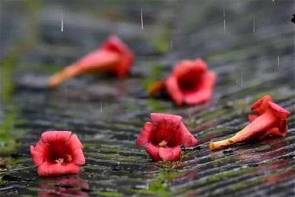 梅雨季节什么时候开窗通风最好 梅雨季节开窗通风好