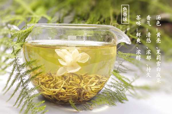 茉莉花茶可以和菊花一起泡吗 茉莉花茶可以和玫瑰花一起泡吗