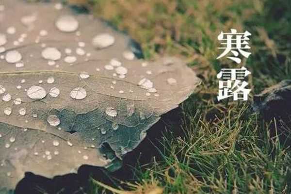 寒露是第几个节气 寒露是不是天气就冷了