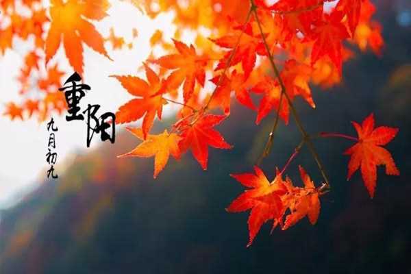 重阳节为什么要吃重阳糕 重阳节吃重阳糕有什么寓意