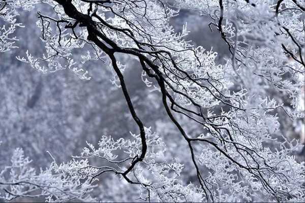 小雪节气的来历 小雪节气有