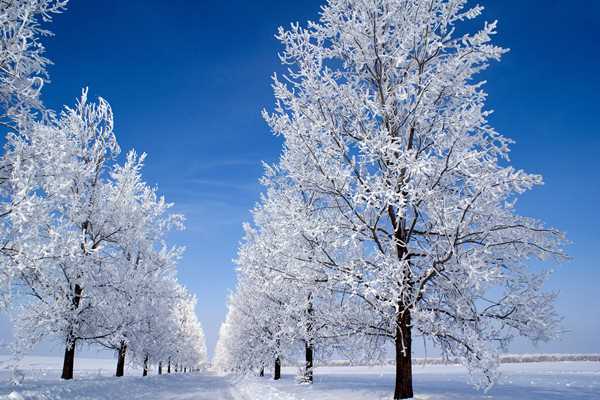 小雪节气是哪一天 小雪节气