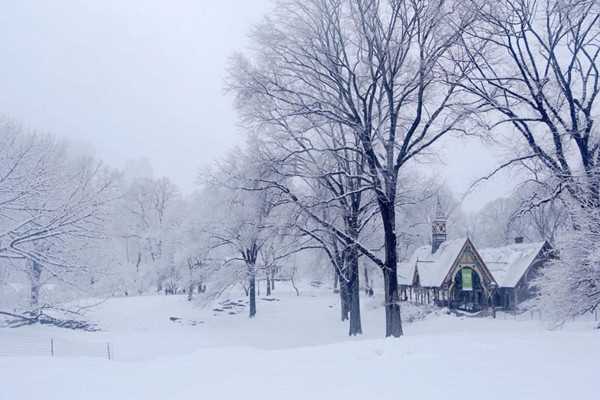 大雪节气是几月几号2021年 大雪节气是什么意思