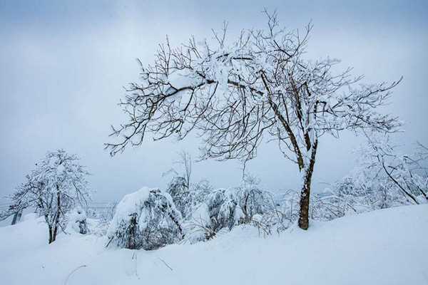 大雪节气会下雪吗 大雪节气一定会下雪吗