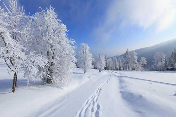 大雪节气会下雪吗 大雪节气一定会下雪吗