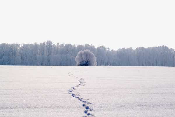 大雪节气温度是多少 大雪节气穿什么衣服