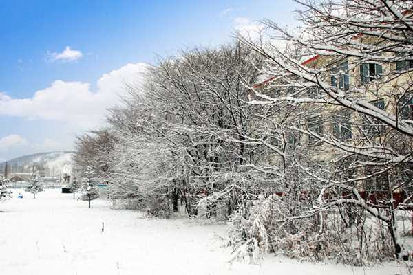 大雪节气温度是多少 大雪节气穿什么衣服