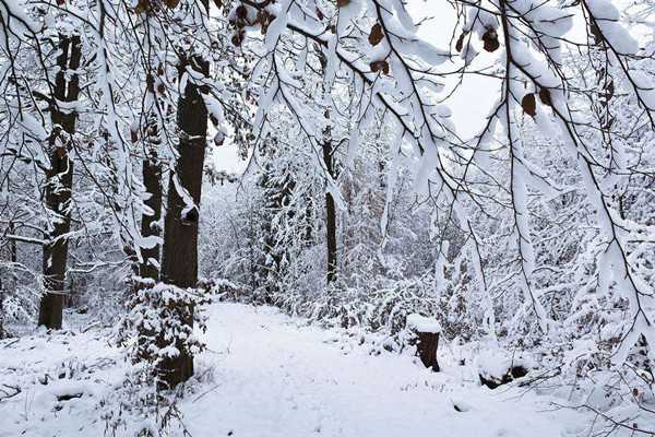 大雪节气是一年中第几个节气 大雪节气是一年中最冷的吗