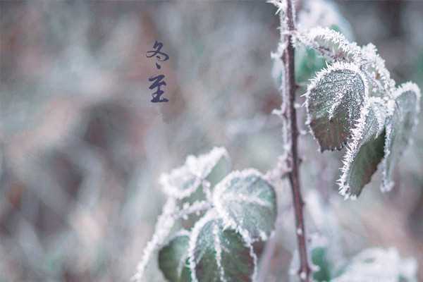 冬至每年都是同一天吗 冬至是白天长还是晚上长