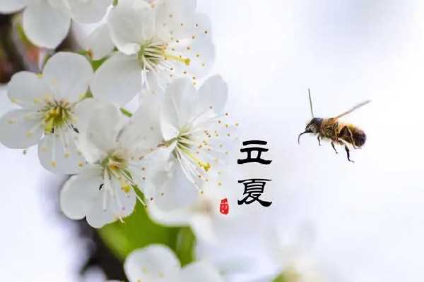 立夏的来历和风俗 立夏可以穿夏装吗