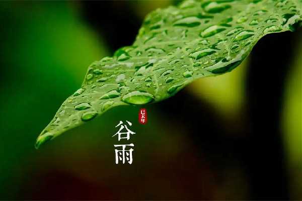 谷雨节气吃什么传统食物 谷雨节气养生吃什么