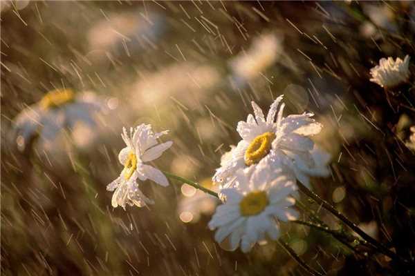 梅雨季节什么时候开窗通风最好 梅雨季节开窗通风好不好