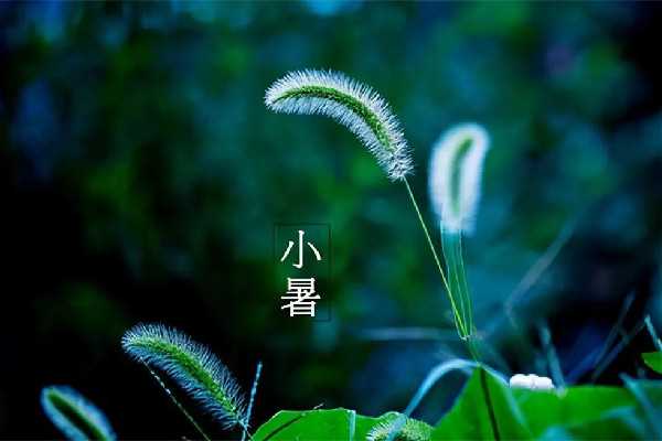 小暑节气吃什么食物 小暑节气吃什么药膳