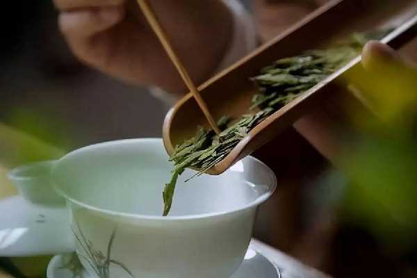 明前茶和明后茶有什么区别 明前茶是不是越早越好