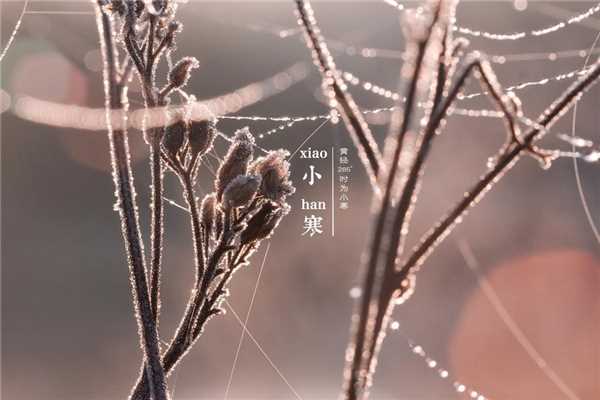 小寒是一年中最冷的吗 小寒冷还是大寒冷