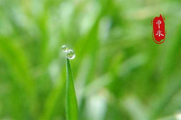 雨水节气吃什么传统食物 雨水节气要吃面条吗