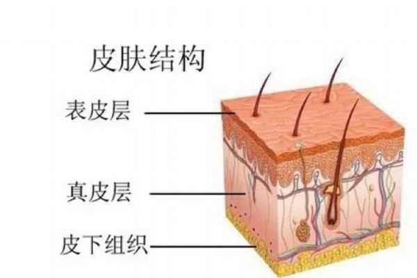 去角质层正确方法有什么呢 什么人群不能去角质层呢