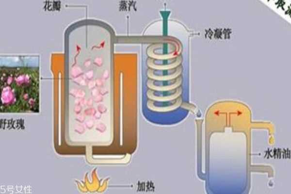 纯露和精油哪个好 纯露更为安全