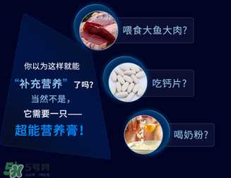 狗狗营养膏一天吃几次？狗狗营养膏一天喂多少？