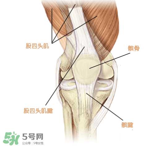 风湿可以吃螃蟹吗？得了风湿能吃螃蟹吗？