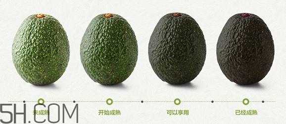 生牛油果可以放冰箱吗？生牛油果怎么保存？