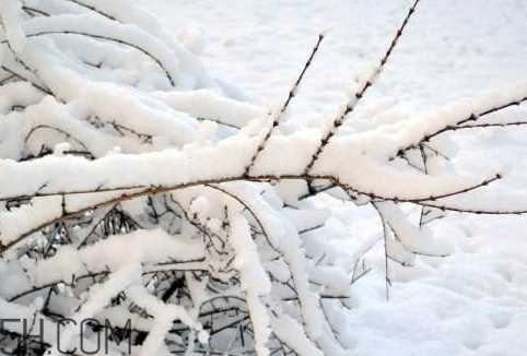 下雪能杀菌吗 下雪可以杀菌吗